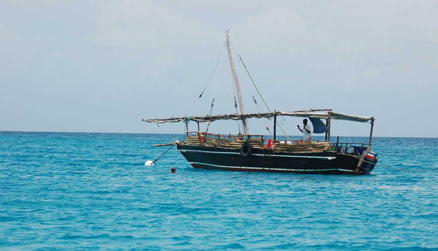 Wasini Island & Kisite Marine Park Dolphin Tour from Diani Beach