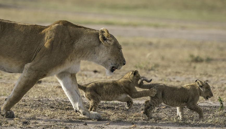 2 Days 1night Lake Nakuru