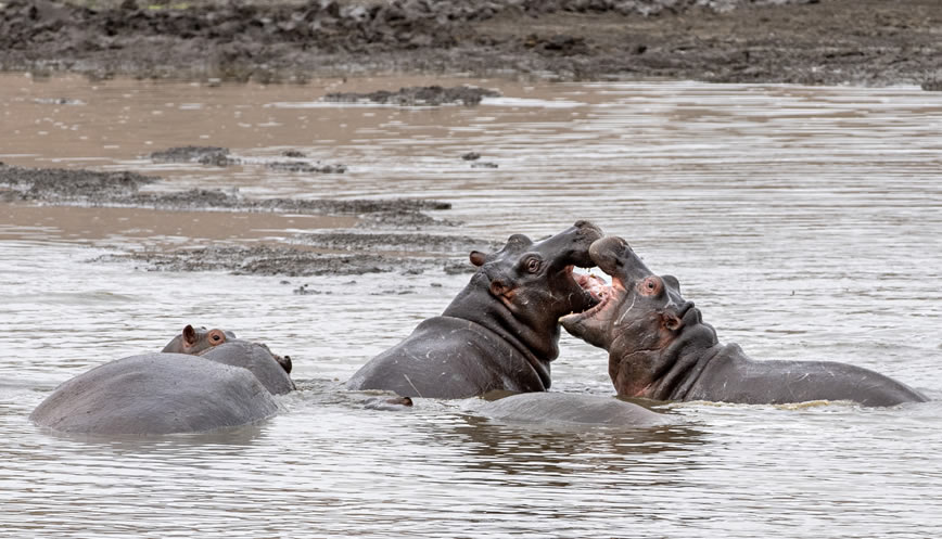 2 Days 1night Lake Nakuru4