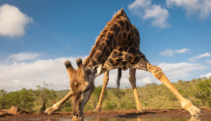 2 Days Tsavo East National Park Safar3