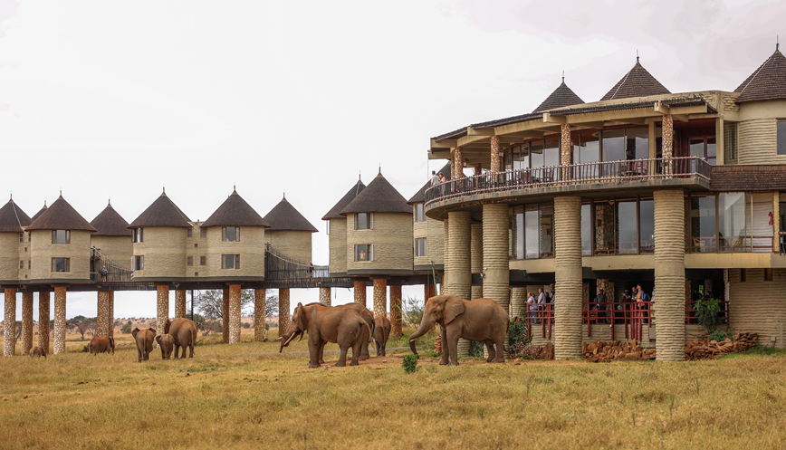 2 Days Tsavo East & Salt Lick Safari from Mombasa