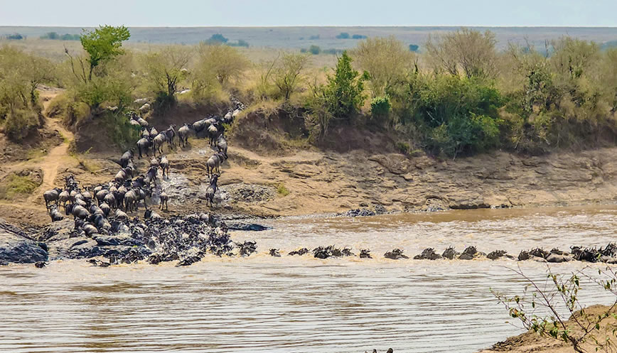 4 Days Maasai Mara & Lake Nakuru Safari from Nairobi 2